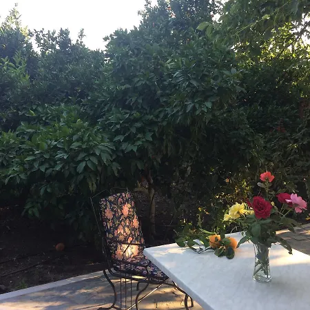 Landhaus Orange Tree Farm