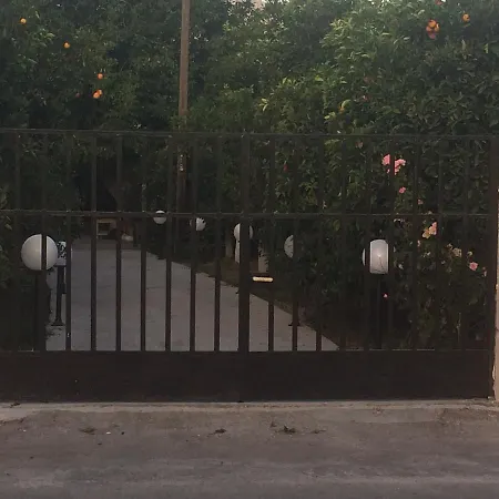 Orange Tree Farm Skinés