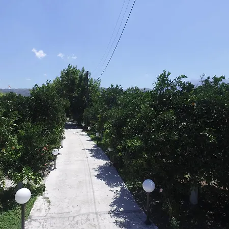 Orange Tree Farm