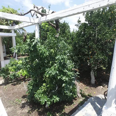 Landhaus Orange Tree Farm Skinés