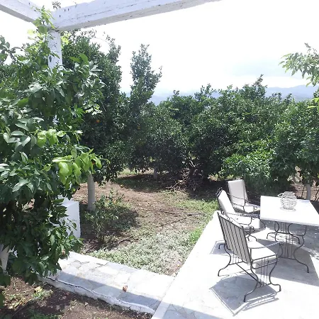 Orange Tree Farm Landhaus *