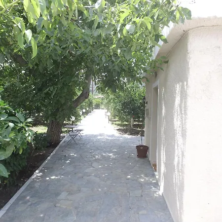 Orange Tree Farm *