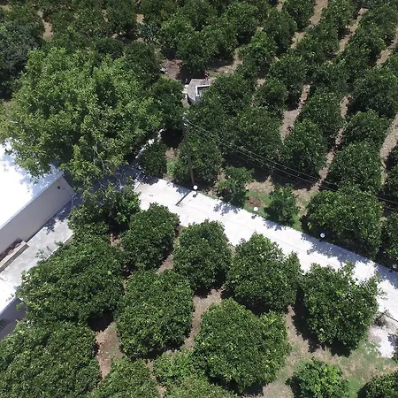 Orange Tree Farm בית כפרי Skinés