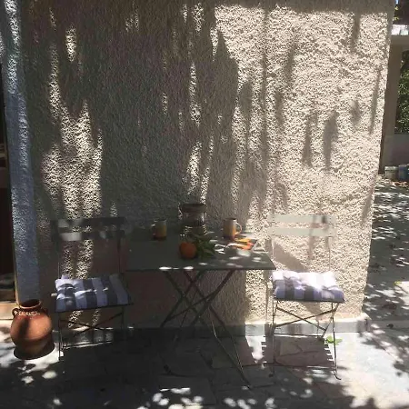 Gospodarstwo wiejskie Orange Tree Farm *