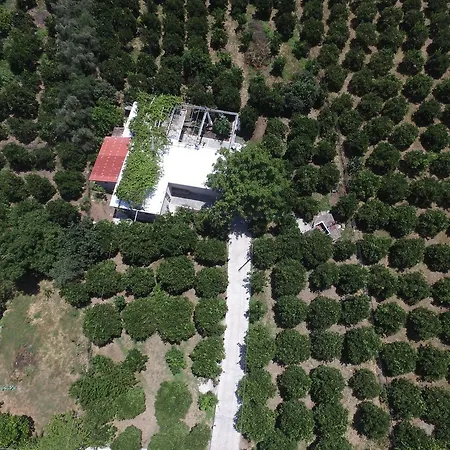 Orange Tree Farm Gospodarstwo wiejskie
